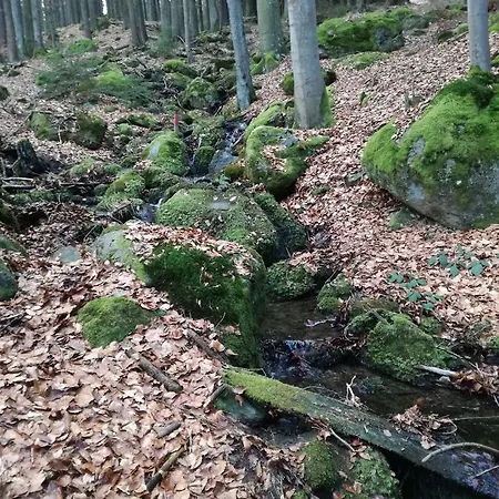 Hotel Zur Waldesruh