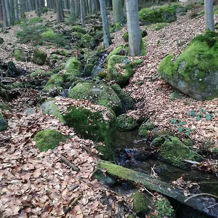 Szálloda Zur Waldesruh Waffenbrunn