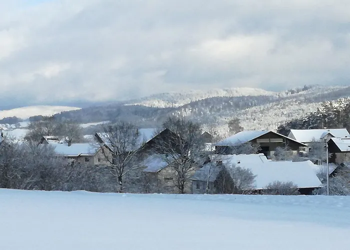 Hotel Zur Waldesruh *