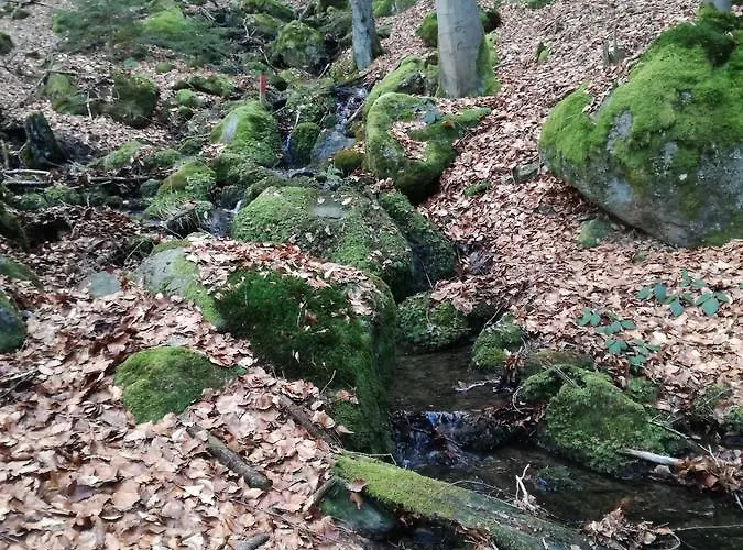Отель Zur Waldesruh