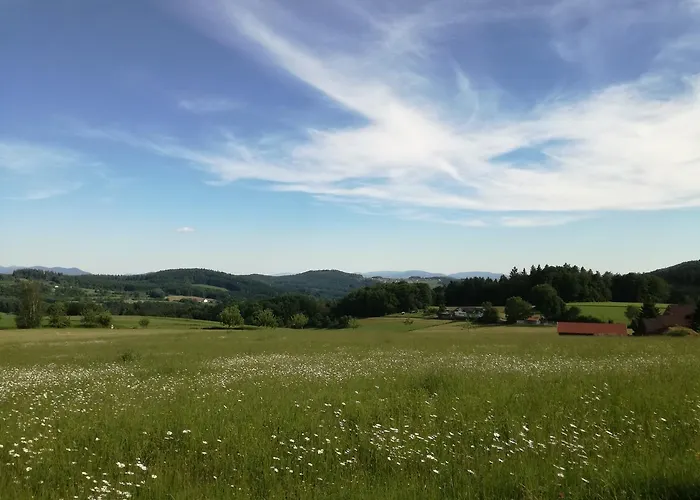 Zur Waldesruh Отель