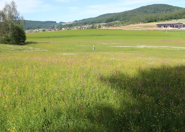 Zur Waldesruh 호텔 Waffenbrunn